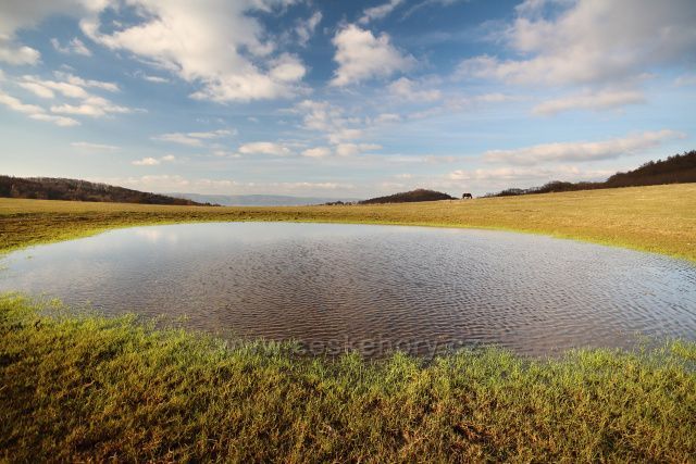 Tůň na pastvině