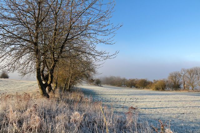 Mrazivé ráno nad Červeným Újezdem