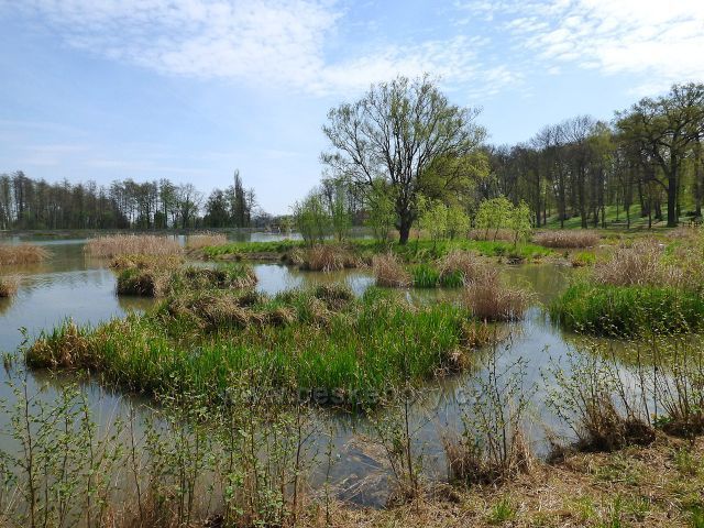 Proboštovský lesopark