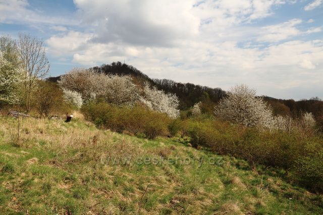 Vysoký Ostrý