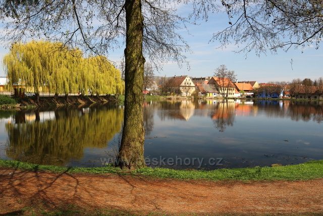 Barvířský rybník
