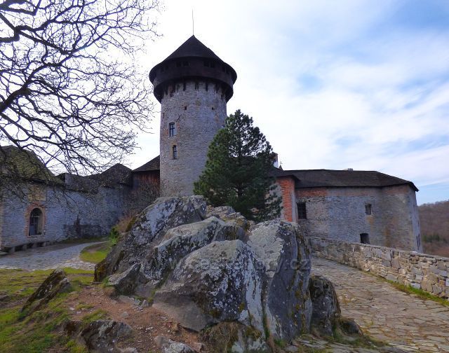 Sovinec