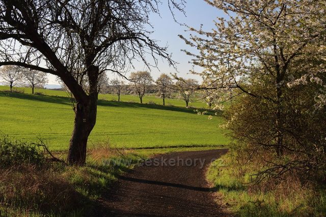 Cesta do Dubiček