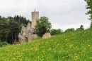 Hrad Frýdštejn