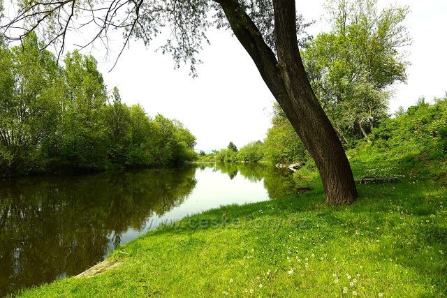 Ohře pod obcí Kystra