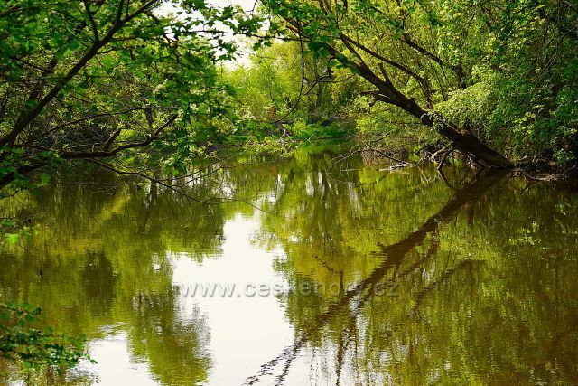 Ohře pod obcí Kystra