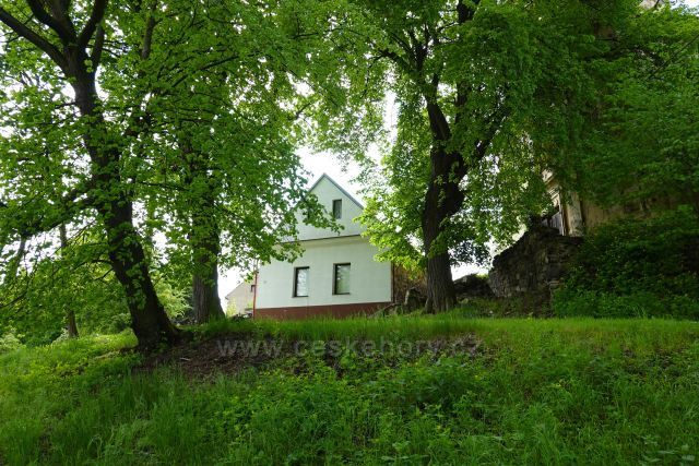 Řisuty