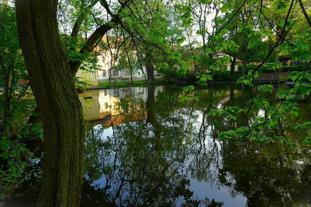 Třebívlice