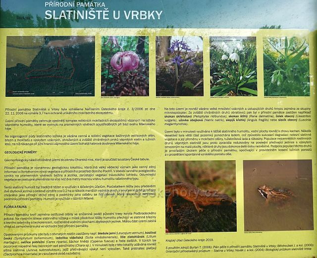 Slatiniště Vrbka