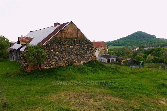 Dřevce