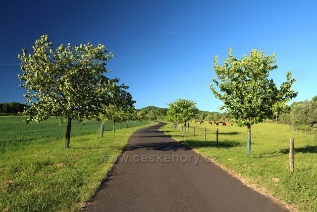 Cesta do Červeného Újezda