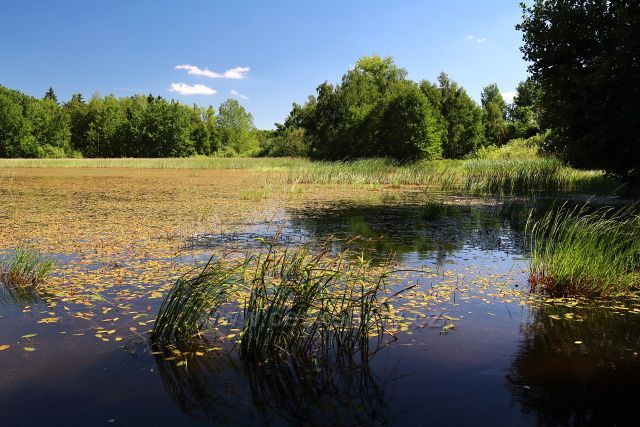 Vojenský rybník