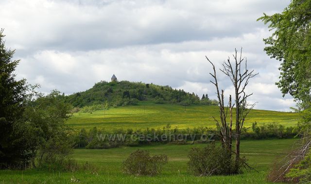 Měděnec