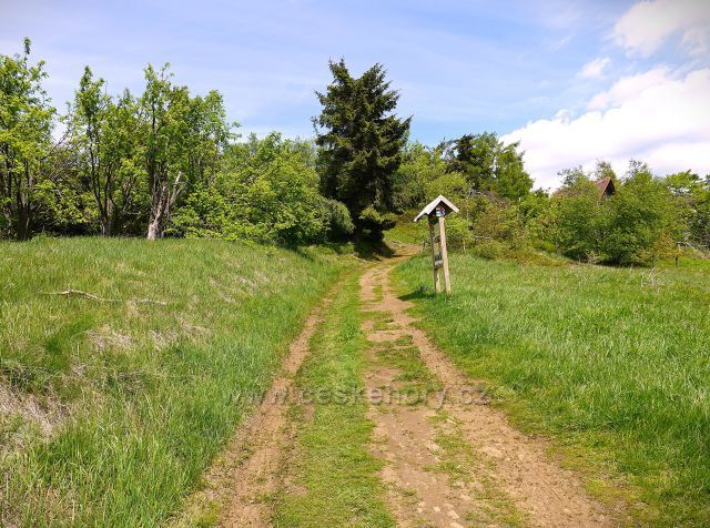 Měděnec