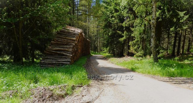 Cesta k rozhledně Kohlhaukuppe – Wettinturm