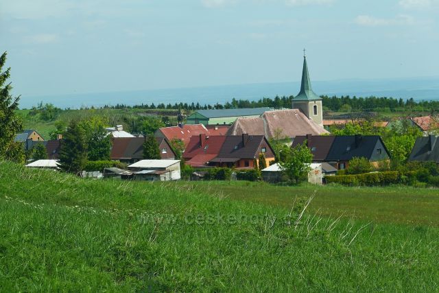 Měděnec
