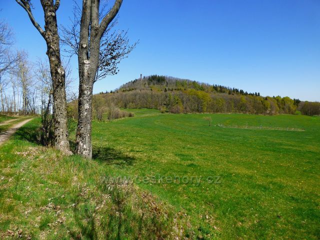 Altenberg