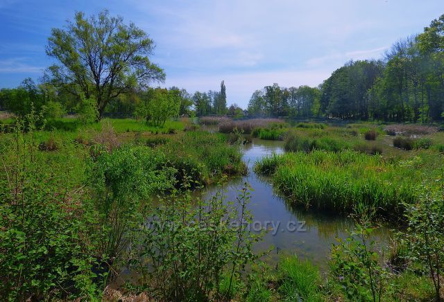 Proboštovský rybník