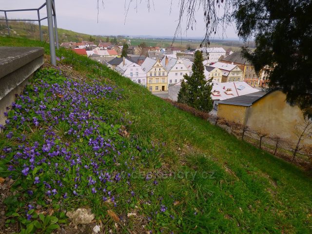 Jánský vrch - zámek,
Javorník