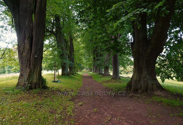 Lemberská lipová alej
