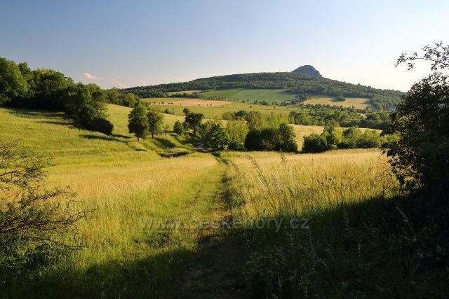 Bořeň