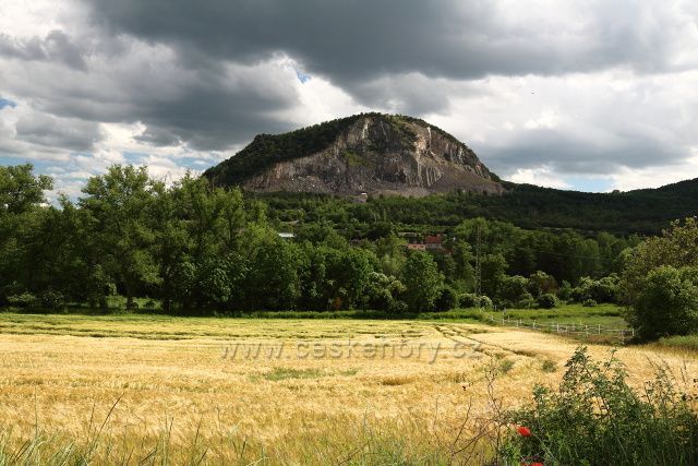 Želenický vrch