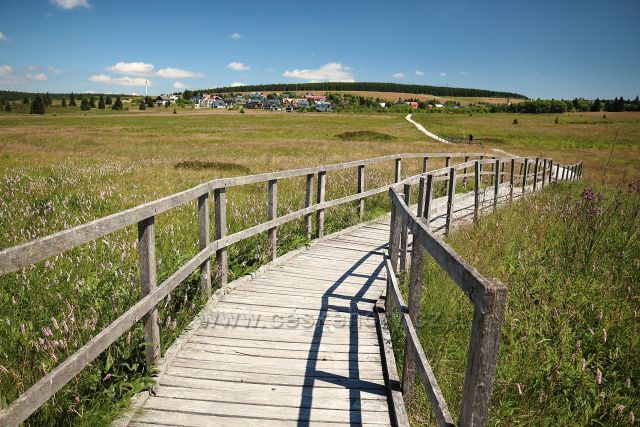 Cesta do Božího Daru