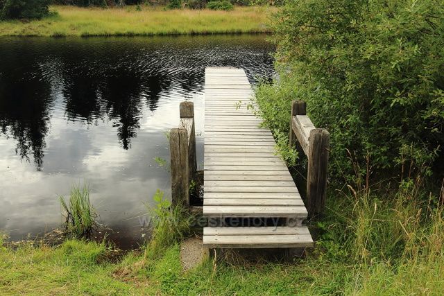 Nový rybník