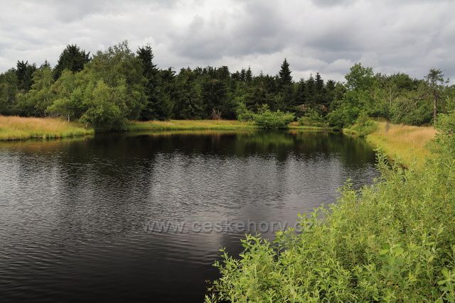 Nový rybník