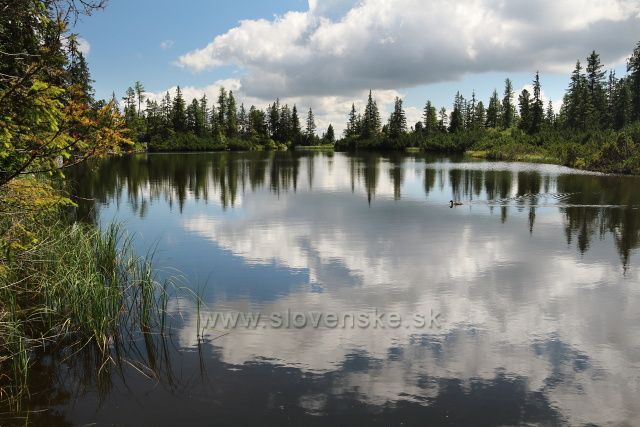Jamské pleso