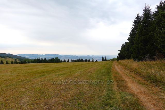 Cesta k rozhledně
na Vlčí hoře