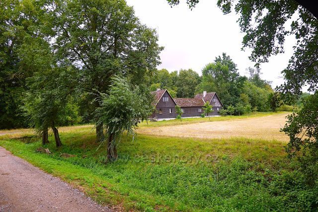 Kladruby n. L.
(okolo hřebčína)