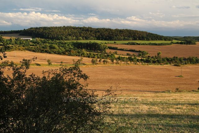 Výhled k Mirošovickému lesu