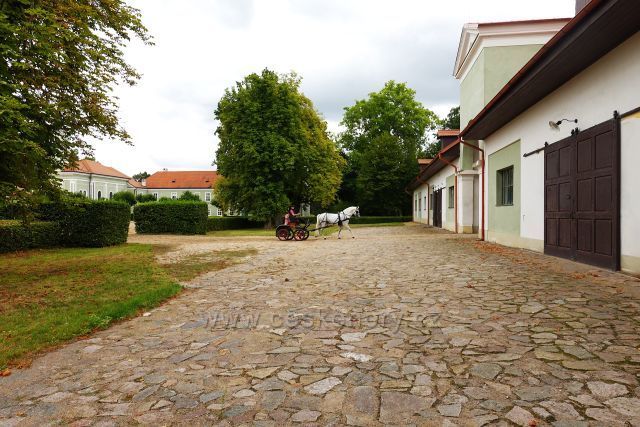 Kladruby nad Labem