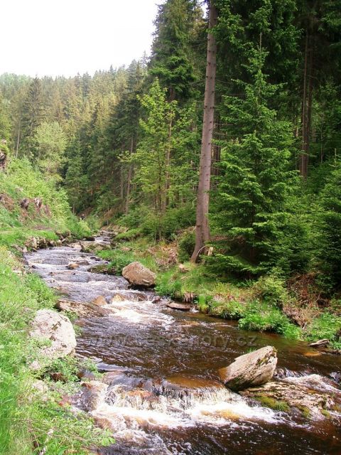 Prunéřovské údolí - potok