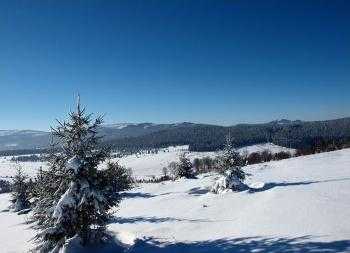 Šumava, Český les, oblast Lipno