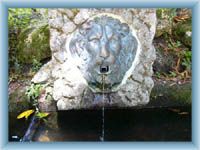 Park v Lázních Kynžvart